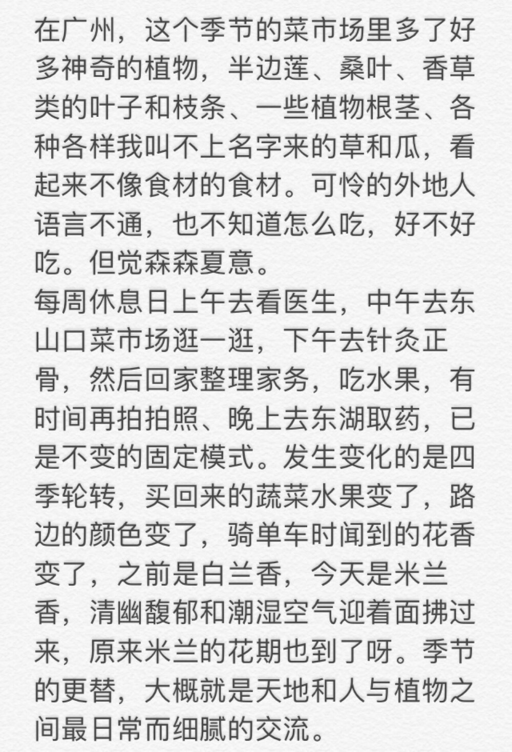 在广州，这个季节的菜市场里多了好多神奇的植物，半边莲、桑叶、香草类的叶子和枝条、一些植物根茎、各种各样我叫不上名字来的草和瓜，看起来不像食材的食材。可怜的外地人语言不通，也不知道怎么吃，好不好吃。但觉森森夏意。
每周休息日上午去看医生，中午去东山口菜市场逛一逛，下午去针灸正骨，然后回家整理家务，吃水果，有时间再拍拍照、晚上去东湖取药，已是不变的固定模式。发生变化的是四季轮转，买回来的蔬菜水果变了，路边的颜色变了，骑单车时闻到的花香变了，之前是白兰香，今天是米兰香，清幽馥郁和潮湿空气迎着面拂过来，原来米兰的花期也到了呀。季节的更替，大概就是天地和人与植物之间最日常而细腻的交流。