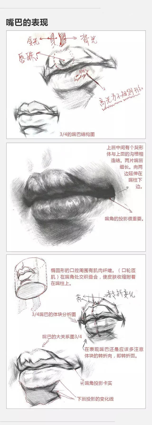 素描结构知识点 ​