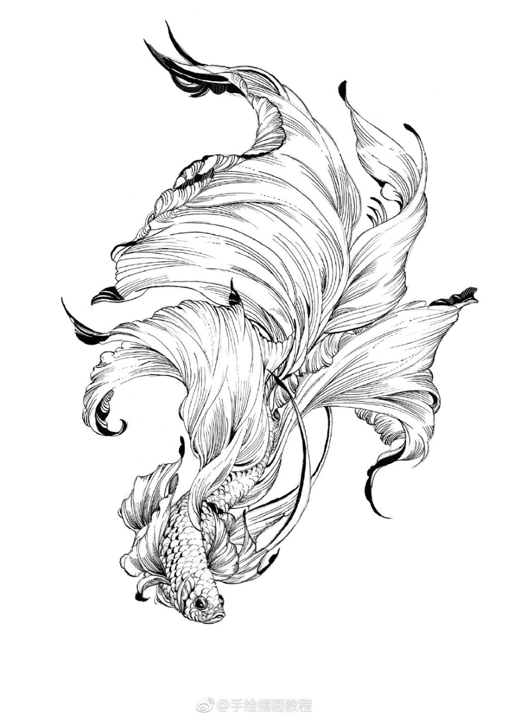 线稿 本文摘自:《线语集:唯美线稿插画实例教程》,具体画法见书.