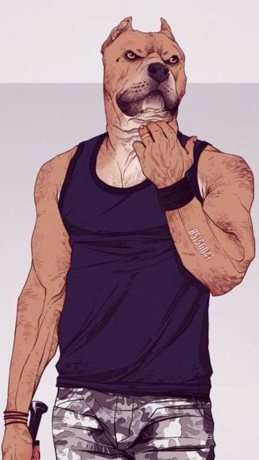 美国插画师Kim Nguyen
动物拟人化头像