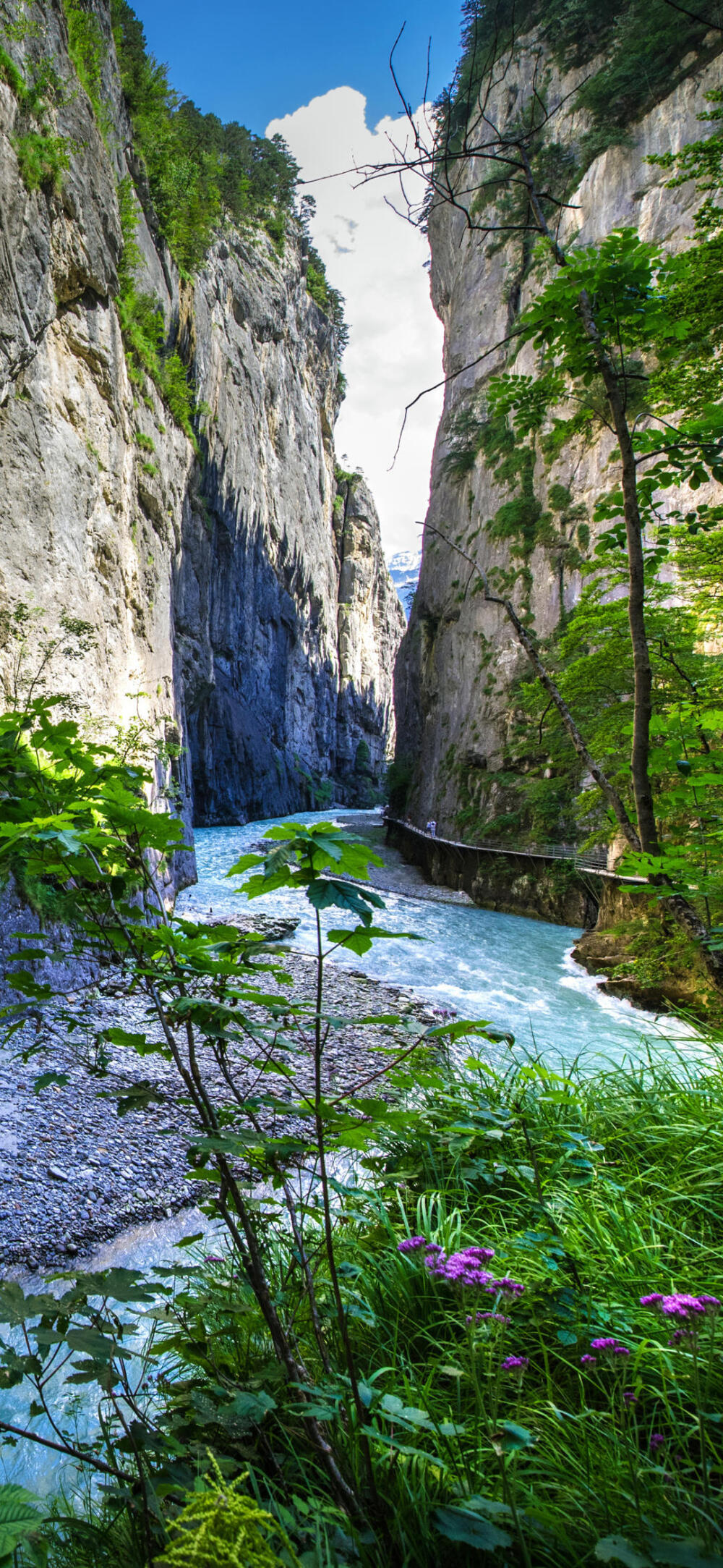 风景