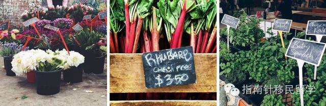 Eveleigh Eveleigh Market，每周六都有的Eveleigh Market，凭着新鲜的食物拿了无数的奖，卖的东西也应有尽有，从花到烟熏鱼到橄榄油，只有你想不到！
地址：245 Wilson St， Eveleigh