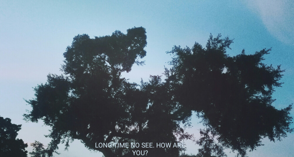 你總要學會一個人