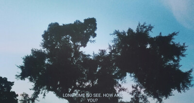 你總要學會一個人