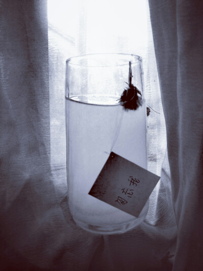 你總要學會一個人