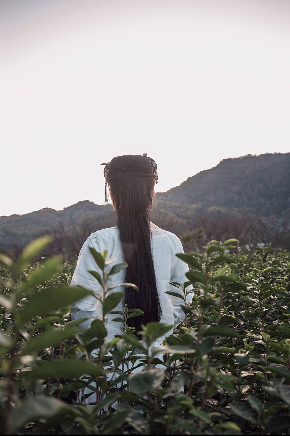 古风美女 背影 侧影 远景