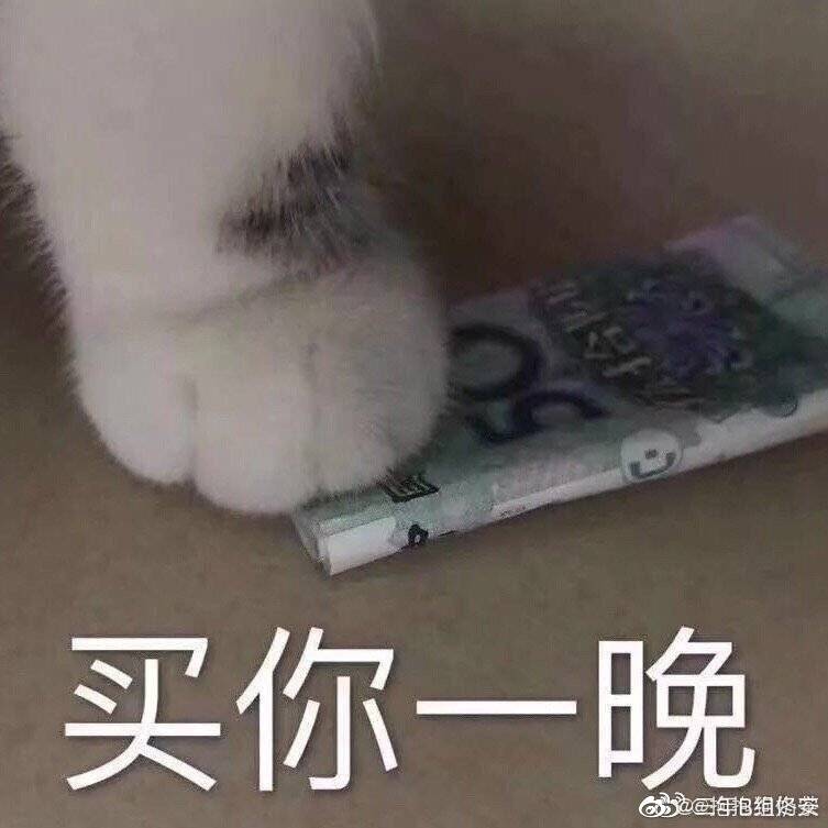 买你一晚 猫表情包