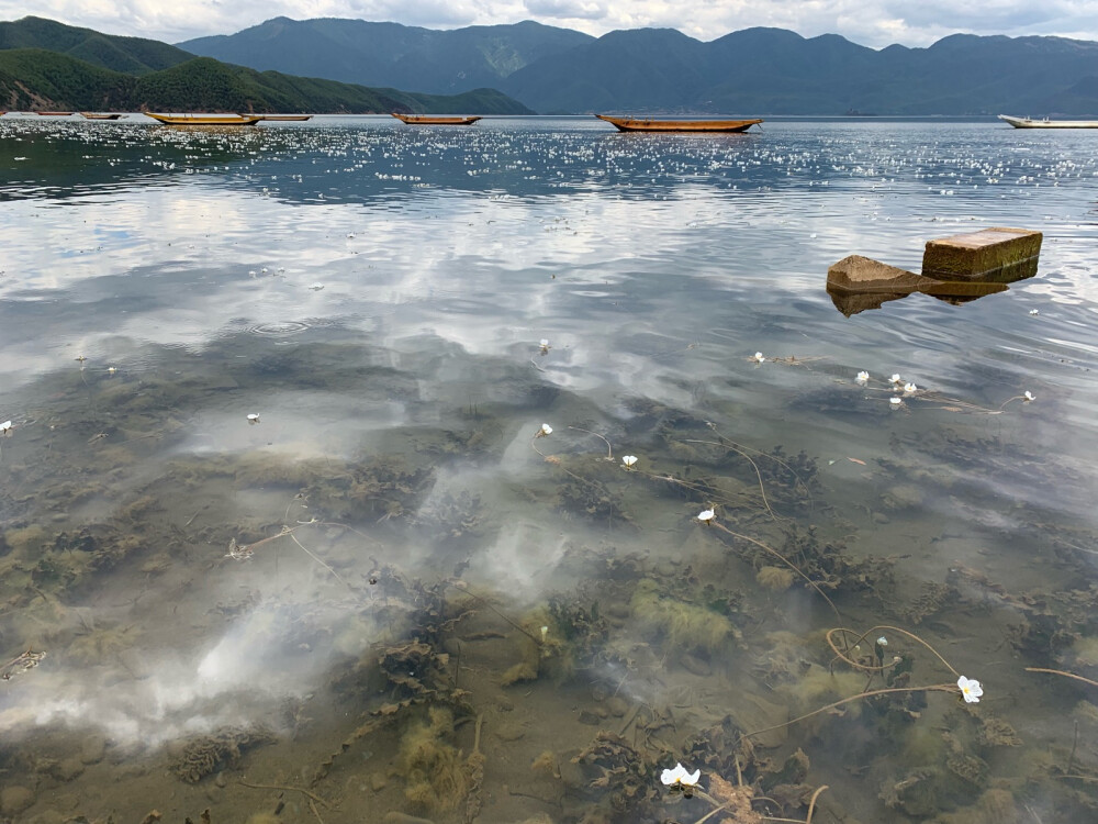 丽江泸沽湖女神湾