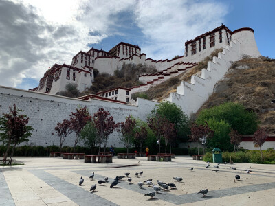 布达拉宫大昭寺八廓街