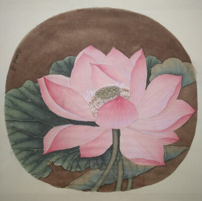 临摹宋画小品，出水芙蓉