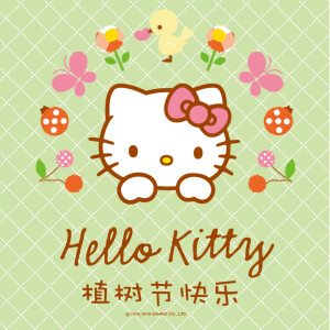 hello my kitty