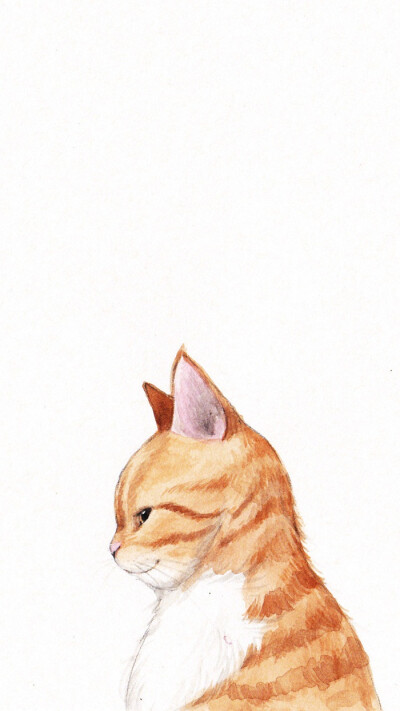 猫咪 插画 壁纸