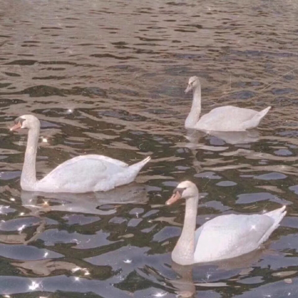 壁纸 背景图收集