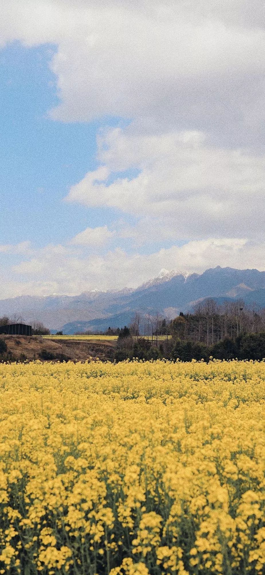 全面屏壁纸·风景