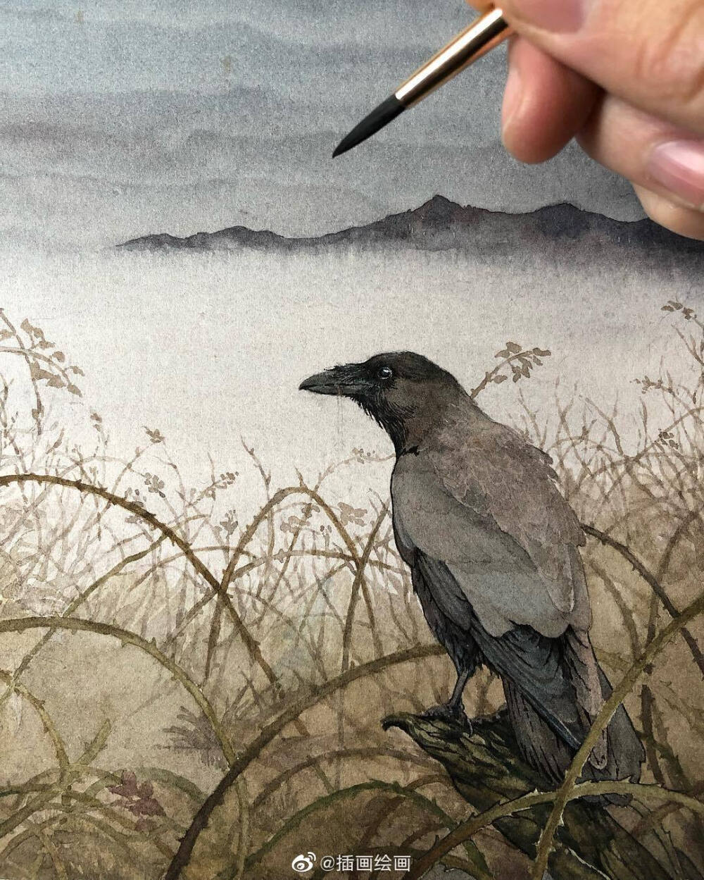 插画师：Lily Seika Jones