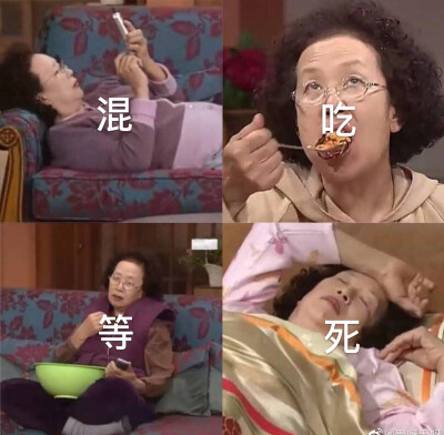 罗文姬女士表情包
图源微博