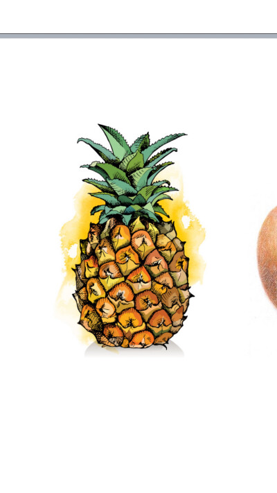 水果菠萝素材