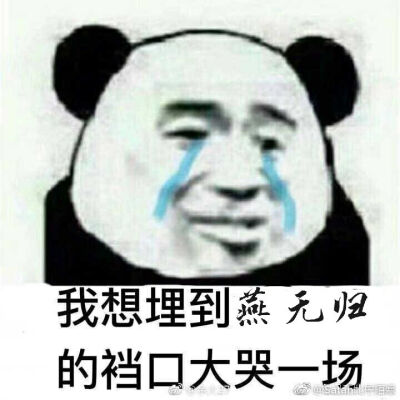 燕无归