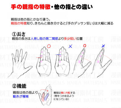 繪畫教程 手的畫法