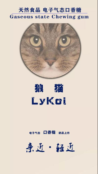 狼猫电子气态口香糖即将上市啦