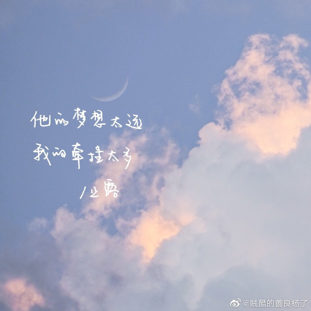 夕阳，樱花，大海，清晨，阳光