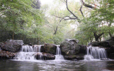 九溪烟树丨杭州 俗称“九溪十八涧”，是由众多小溪流汇合而成的“Y”字形溪涧，每逢雨后，附近八觉山上的树林烟雾升腾，满谷迷蒙，形成好看的“树烟景观”。