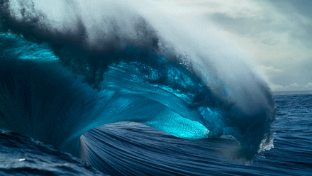 Blue Planet / BBC蓝色星球