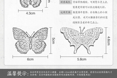 蝴蝶