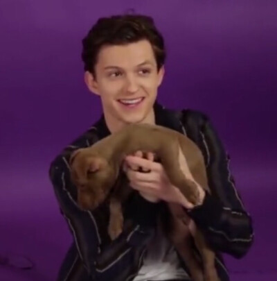 tom holland