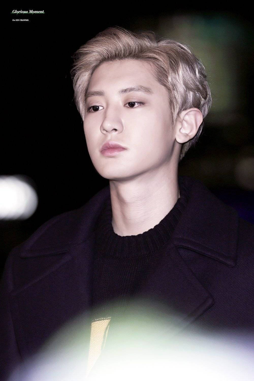  -神说少年惊鴻.