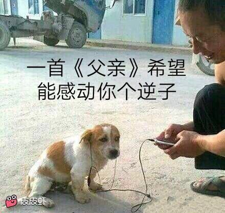 搞笑图片