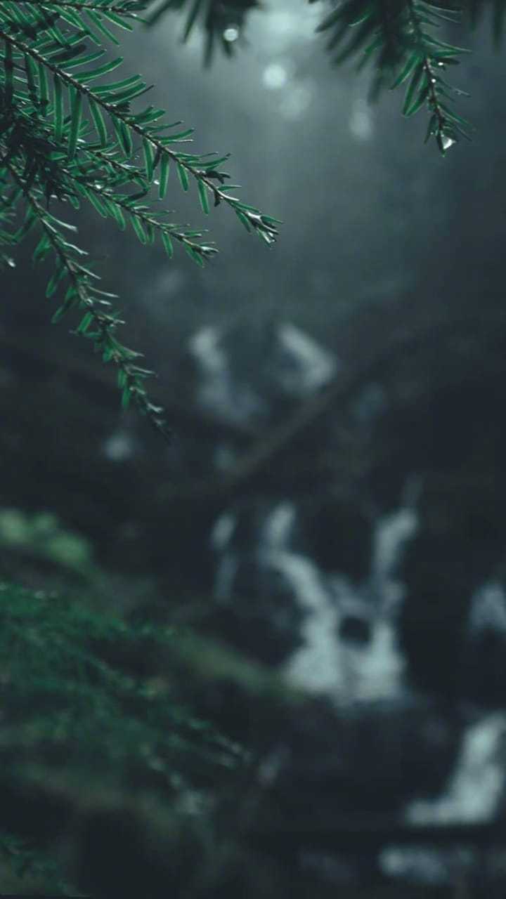 青衣带水细雨飞