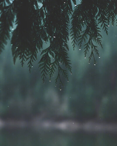 青衣带水细雨飞