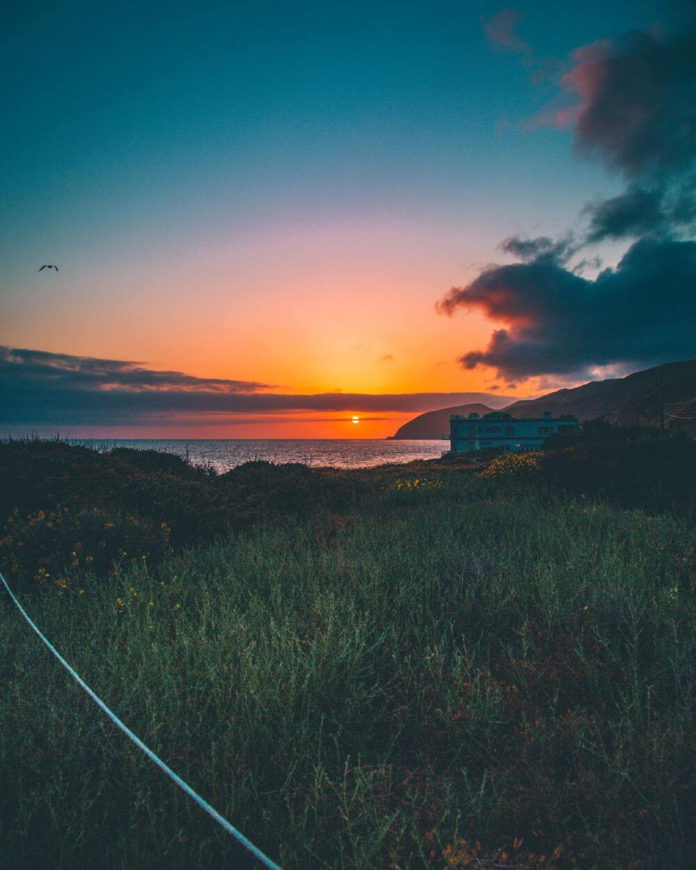 天色还没夜下来，乡村总有人吹笛。我们穷，只此一身青春。——木心