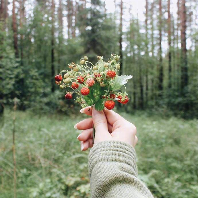 “我原想收获一缕春风，你却給了我整个春天。”