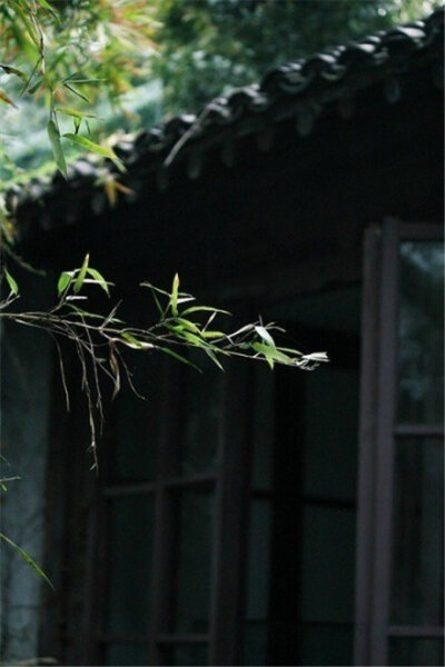 南朝四百八十寺，多少楼台烟雨中。