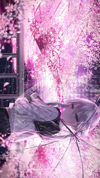 我仅是不愿，见寓意着圆满的合欢，晚景凄凉。