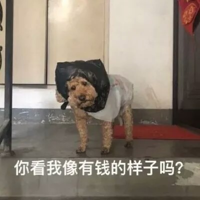 [表情包 ]
找图不易拿图点赞
四处找来的图呀
深吻草莓贤.