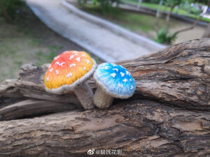 刺绣蘑菇