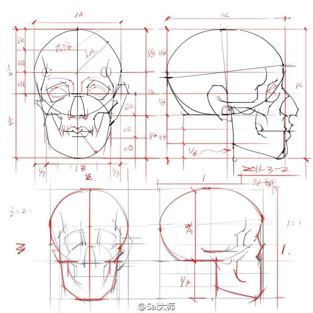 有关头部的设计绘画知识 实用收藏。