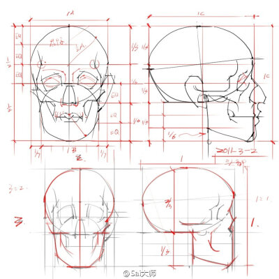 有关头部的设计绘画知识 实用收藏。