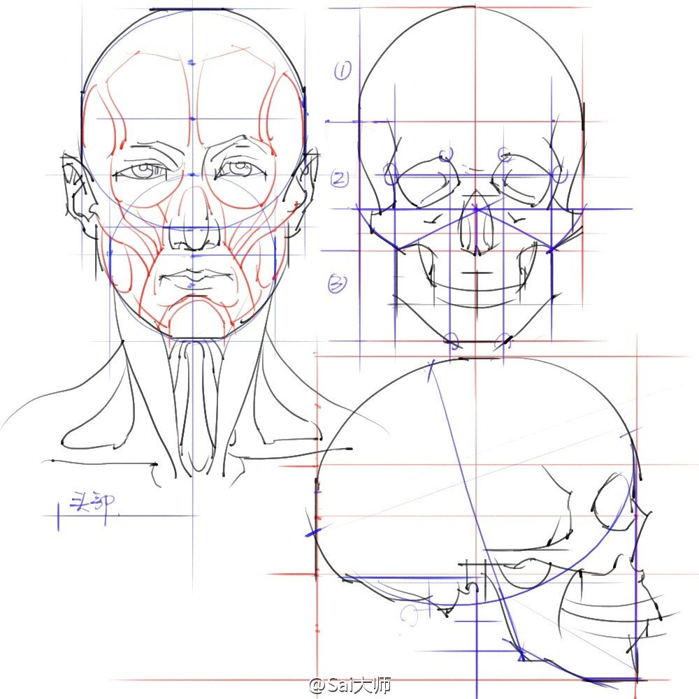 有关头部的设计绘画知识 实用收藏。