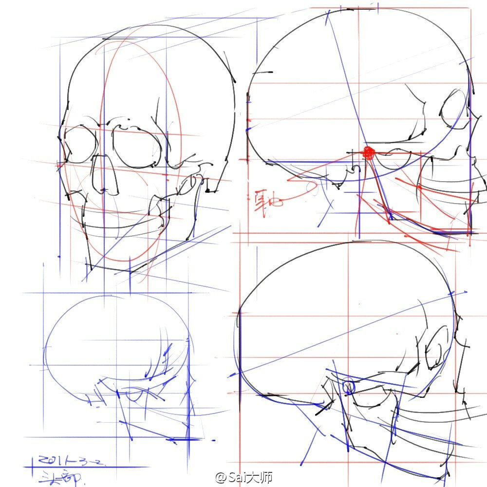 有关头部的设计绘画知识 实用收藏。