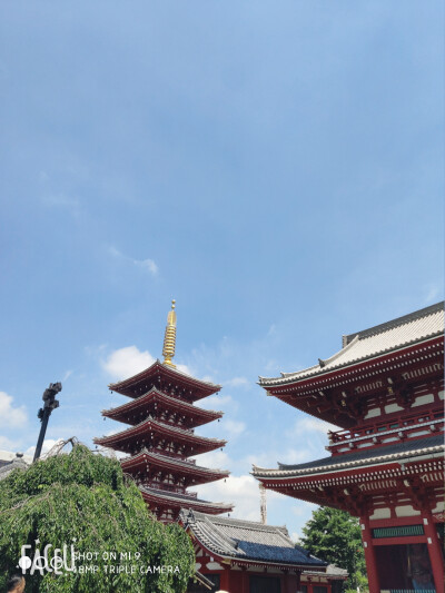 東京晴空