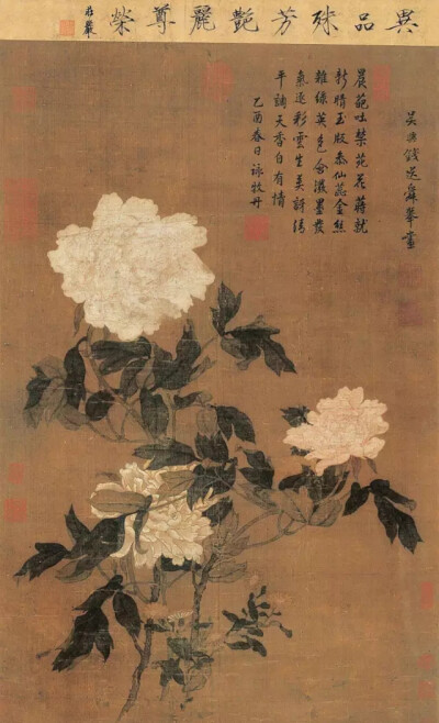 花瓣柔柔层层爱。芳蕊茸茸灼灼开。