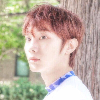 欢 迎 来 到 1115号星球.