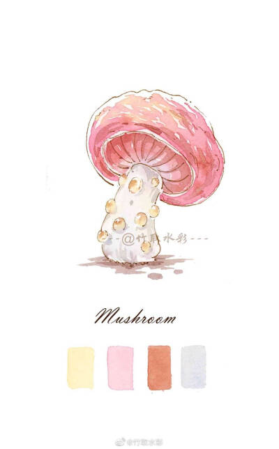 水彩 蘑菇 食物 插画 手帐