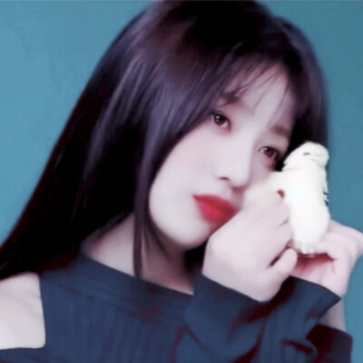 ©dt江晏／杜妧