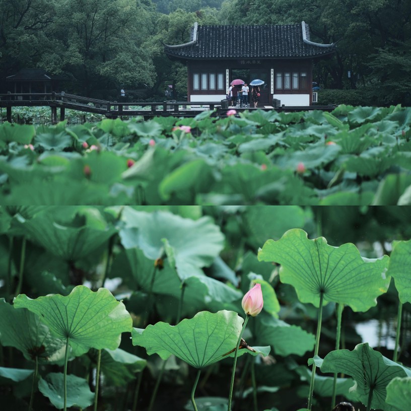 碧海蓝天