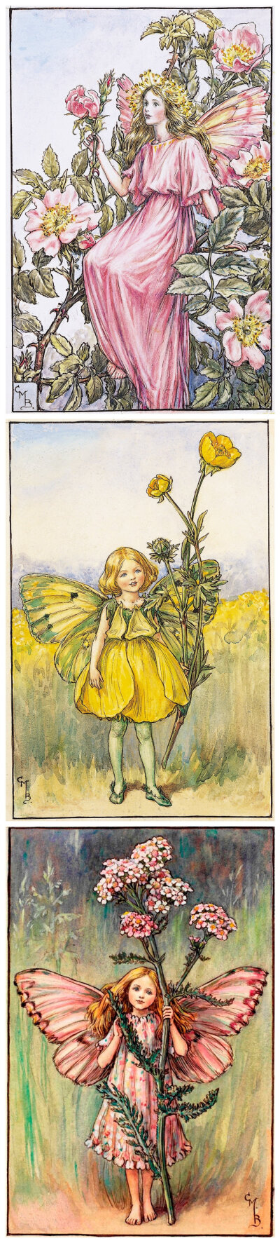 花仙子 Flower Fairies 作者:Cicely Mary Barker